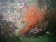 Thumbs/tn_SanJuan 017.jpg